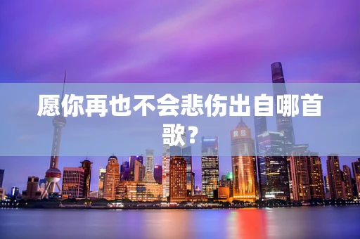 愿你再也不会悲伤出自哪首歌？