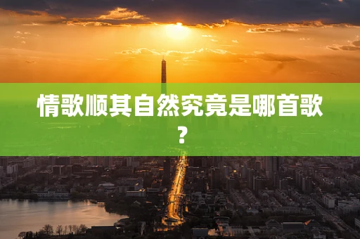 情歌顺其自然究竟是哪首歌？