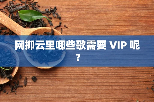 网抑云里哪些歌需要 VIP 呢？