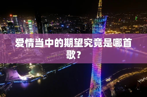 爱情当中的期望究竟是哪首歌？