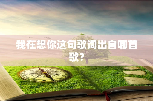 我在想你这句歌词出自哪首歌？