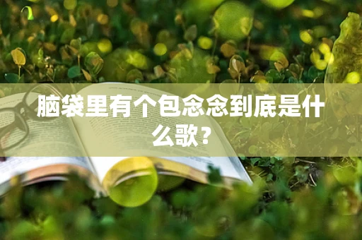 脑袋里有个包念念到底是什么歌？