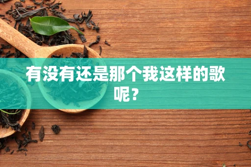 有没有还是那个我这样的歌呢？