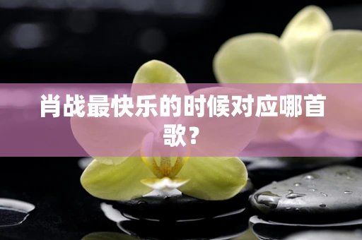肖战最快乐的时候对应哪首歌？