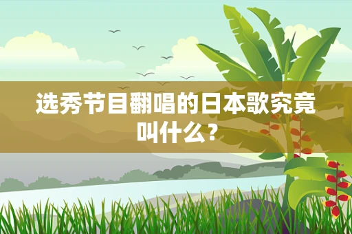 选秀节目翻唱的日本歌究竟叫什么？