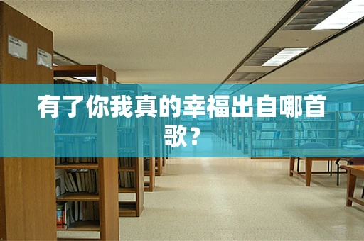有了你我真的幸福出自哪首歌？