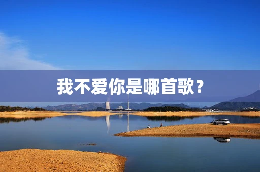 我不爱你是哪首歌？