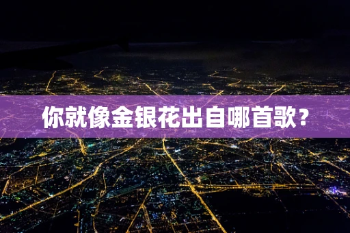 你就像金银花出自哪首歌？