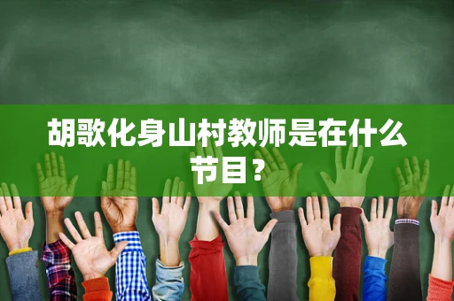 胡歌化身山村教师是在什么节目？