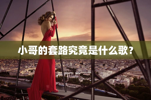 小哥的套路究竟是什么歌？