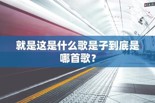 就是这是什么歌是子到底是哪首歌？