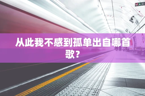 从此我不感到孤单出自哪首歌？