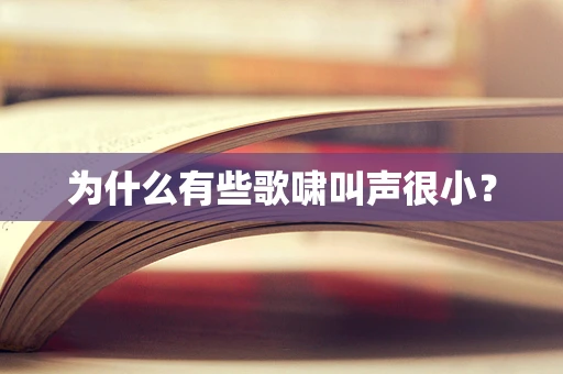 为什么有些歌啸叫声很小？