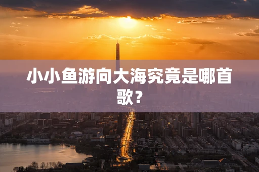 小小鱼游向大海究竟是哪首歌？