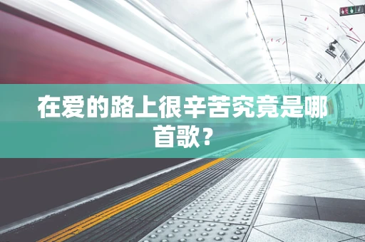在爱的路上很辛苦究竟是哪首歌？