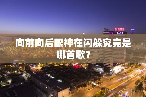 向前向后眼神在闪躲究竟是哪首歌？
