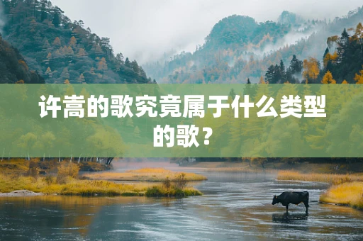 许嵩的歌究竟属于什么类型的歌？