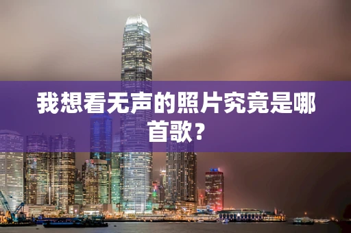 我想看无声的照片究竟是哪首歌？