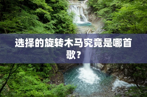选择的旋转木马究竟是哪首歌？