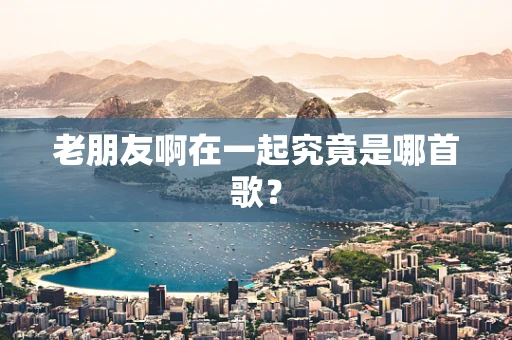 老朋友啊在一起究竟是哪首歌？