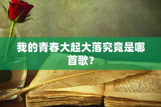 我的青春大起大落究竟是哪首歌？