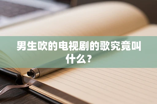 男生吹的电视剧的歌究竟叫什么？