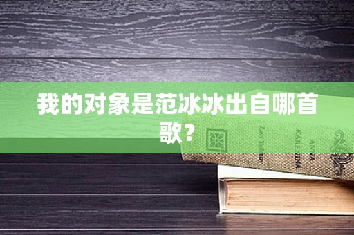 我的对象是范冰冰出自哪首歌?