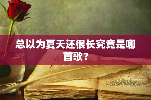 总以为夏天还很长究竟是哪首歌？