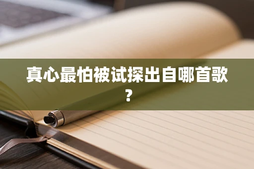 真心最怕被试探出自哪首歌？