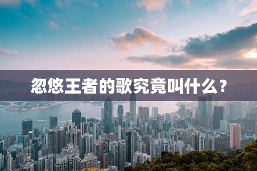 忽悠王者的歌究竟叫什么？