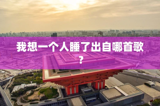我想一个人睡了出自哪首歌？