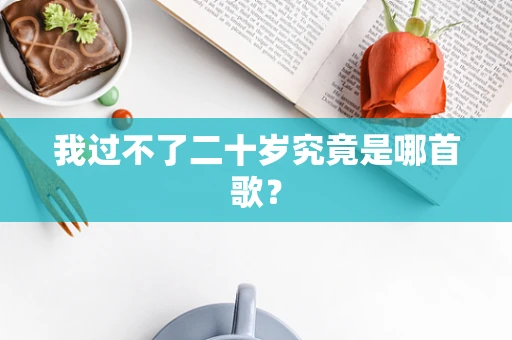 我过不了二十岁究竟是哪首歌？