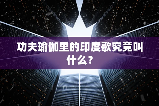 功夫瑜伽里的印度歌究竟叫什么？