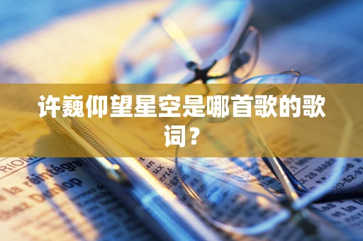 许巍仰望星空是哪首歌的歌词？