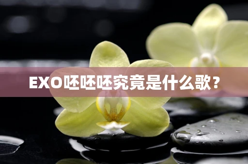EXO呸呸呸究竟是什么歌？