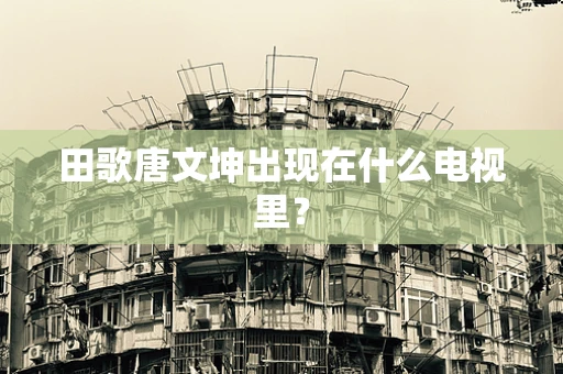 田歌唐文坤出现在什么电视里？
