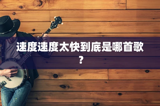 速度速度太快到底是哪首歌？