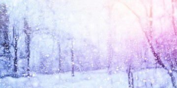 哪些歌曲能唤起下雪之美？