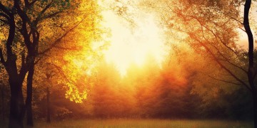 那首105度的歌究竟叫什么名字?