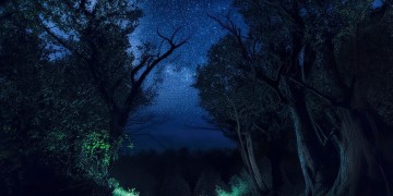 夜色越暗星光越亮究竟出自哪首歌？