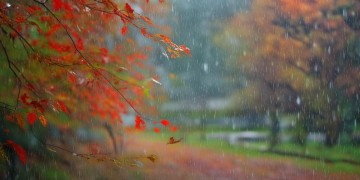 秋天的雨缠缠绵绵究竟是哪首歌？