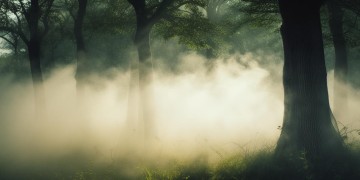 梦中丢了一丝梦香究竟是哪首歌？