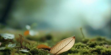 会重新的来过出自哪首歌?