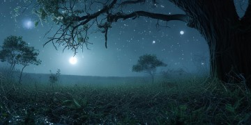 夜深的孤独与悲伤究竟是哪首歌？