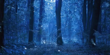一眨眼夜深了到底是哪首歌？