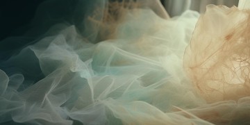 能看到多久的过去究竟是哪首歌？