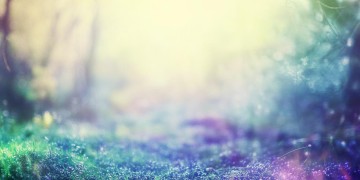 曾经歌究竟何时发布？