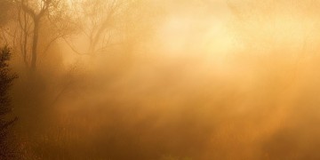 清晨的日光究竟是哪首歌?