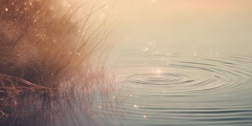 当风来了又走究竟是哪首歌？