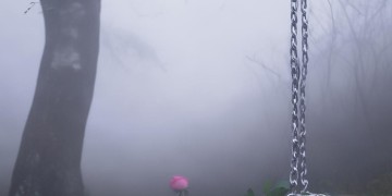 痛苦的相思忘不了究竟出自哪首歌？